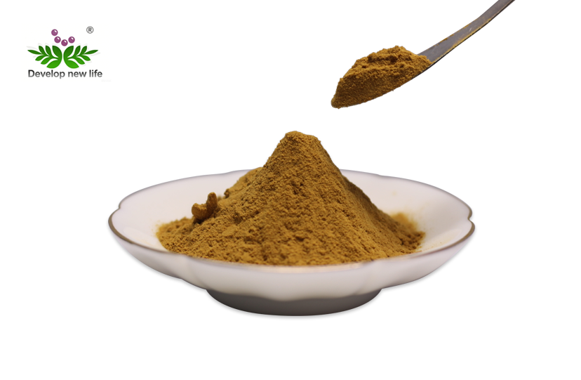 chrysanthemum extract Powder